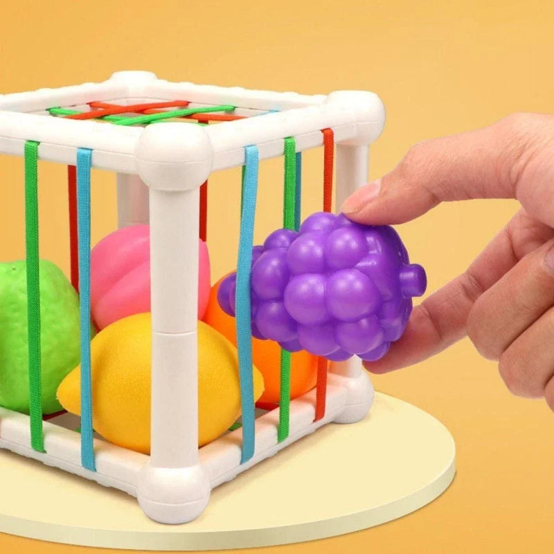 Baby Montessori Toys Sensory Bin Cube Fidget Baby Sorting Toys with Fruits 