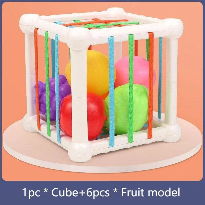 Baby Montessori Toys Sensory Bin Cube Fidget Baby Sorting Toys with Fruits 