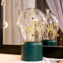 Chic Jewelry Organization Kawaii Fairy Tale Lightbulb Cute Jewelry Display Box