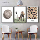 5pcs Canvas Decorative Wall Wood & Nature